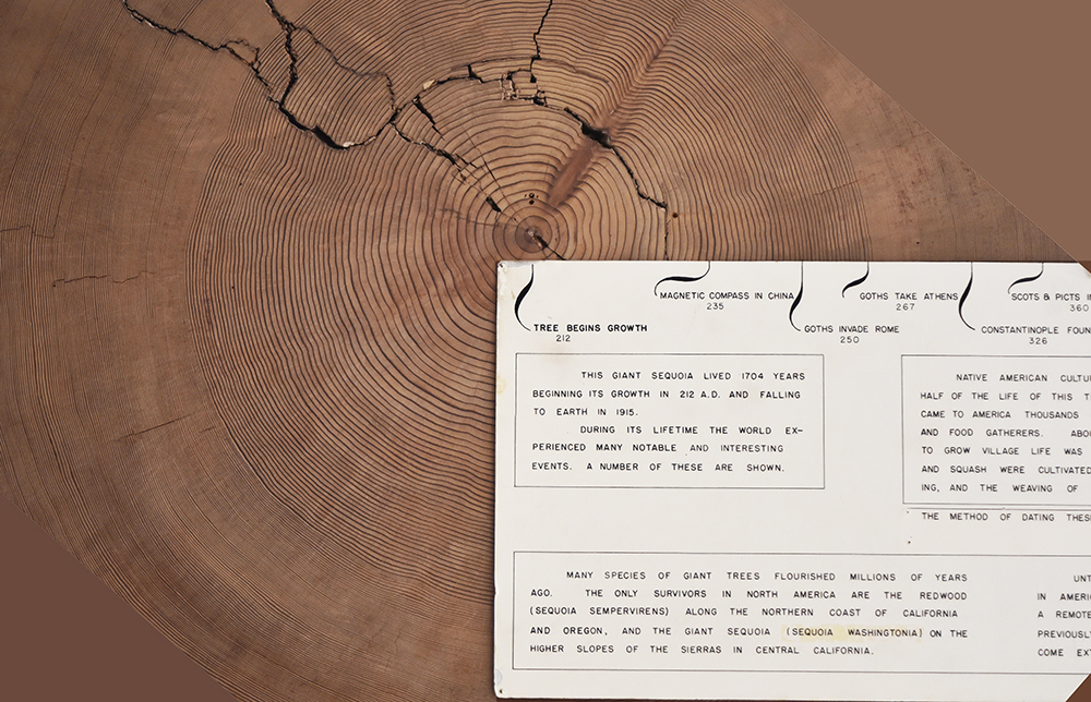 Tree-Ring Laboratory